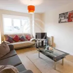 Rent 1 bedroom flat in Brighton