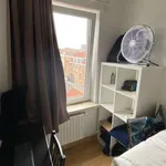 Rent a room in brussels