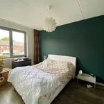 Huur 4 slaapkamer huis van 113 m² in Rapelenburg