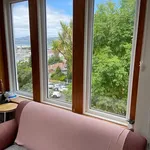 Rent 4 bedroom house in Dunedin