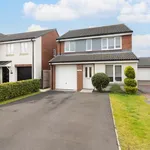 Rent 3 bedroom house in North East England