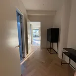 Rent 2 bedroom apartment of 76 m² in Zandvoort