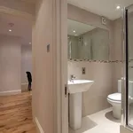 Rent 1 bedroom flat in London