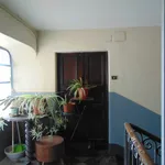 Rent 2 bedroom apartment of 45 m² in Turin