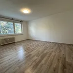 Rent 1 bedroom house in Ústí nad Labem