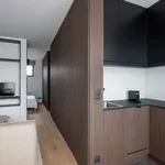 Rent 1 bedroom apartment in Ixelles