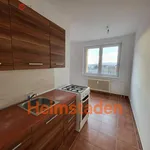 Rent 2 bedroom apartment of 39 m² in Karviná