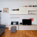 Rent 1 bedroom apartment in milan