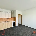 Rent 1 bedroom apartment of 31 m² in Rychnov nad Kněžnou