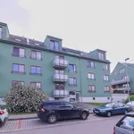 Rent 3 bedroom apartment of 103 m² in Capital City of Prague