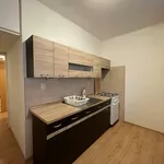 Rent 1 bedroom apartment of 34 m² in Havířov