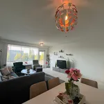 Rent 4 bedroom apartment of 112 m² in Vaartbroek