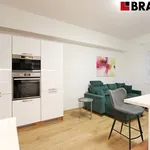 Rent 3 bedroom apartment of 76 m² in Brno