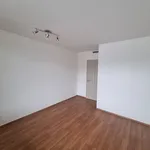 Rent 2 bedroom apartment of 58 m² in Brno