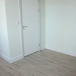 Rent 3 bedroom apartment in West Midlands