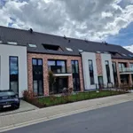 Rent 2 bedroom apartment in Wieze