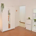 Rent 6 bedroom apartment in Modena