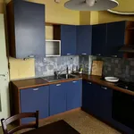 Rent 3 bedroom apartment of 100 m² in Biella