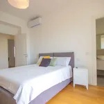 Rent 1 bedroom apartment in Milano