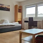 Rent 1 bedroom apartment of 170 m² in Brno