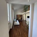 Rent 3 bedroom apartment of 100 m² in Milan