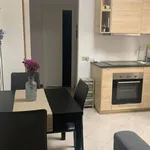 Rent 3 bedroom apartment of 55 m² in Padova