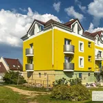 Rent 1 bedroom apartment in Pardubice