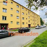 Rent 3 bedroom apartment of 49 m² in Hlučín