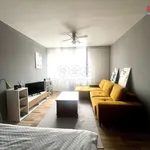 Rent 1 bedroom apartment of 37 m² in Frýdek-Místek