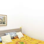 Rent 3 bedroom apartment of 73 m² in rome