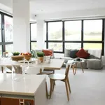 Rent 1 bedroom apartment of 13 m² in Pamplona