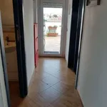 Rent 2 bedroom apartment of 46 m² in Rome