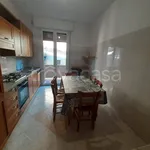 Rent 5 bedroom apartment of 100 m² in Bologna