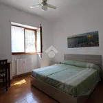 Rent 3 bedroom apartment of 80 m² in Brindisi