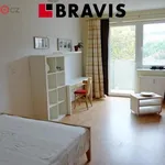 Rent 2 bedroom apartment of 35 m² in Brno