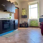 Rent 2 bedroom apartment of 45 m² in Genzano di Roma