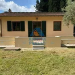 Rent 4 bedroom apartment of 130 m² in Fiesole