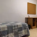 Rent 1 bedroom apartment in granada