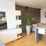 Rent 3 bedroom apartment of 60 m² in Prague