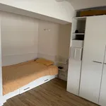 Miete 1 Schlafzimmer wohnung von 30 m² in Nürnberg