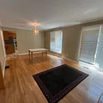 Rent 1 bedroom house in Kingston