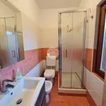 Rent 1 bedroom apartment of 35 m² in San Benigno Canavese