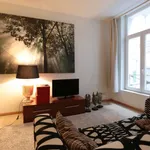 Huur 1 slaapkamer appartement van 45 m² in brussels