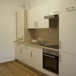 Miete 1 Schlafzimmer wohnung von 452 m² in Vienna