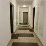 Rent 2 bedroom apartment in Capital City of Prague