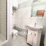 Rent 1 bedroom apartment of 40 m² in Ostrava