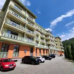 Rent 4 bedroom apartment of 150 m² in Karlovy Vary