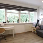 Populierenlaan, Amstelveen - Amsterdam Apartments for Rent