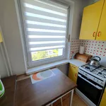 Rent 1 bedroom apartment of 32 m² in Poznan