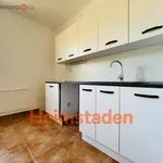 Rent 4 bedroom apartment of 89 m² in Ostrava